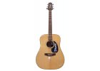 Takamine G 320