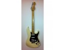 Stratocaster Custom