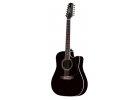 EF-381SC - 12strings