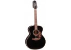 EF-281S   12-String