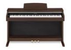 AP 220 Celviano BK