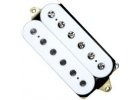 EJ Custom Bridge