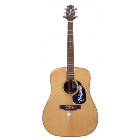 Takamine G 320