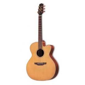 Takamine EAN 20C