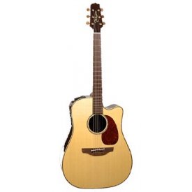 Takamine EAN-16C