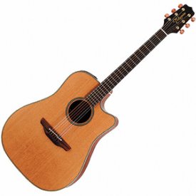Takamine EAN10C