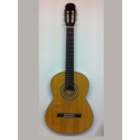 Carina SC100NL