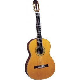 Takamine TH5
