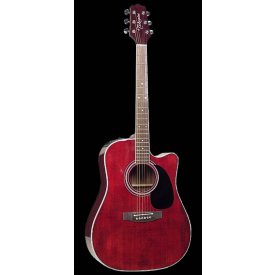 Takamine FP 325SRC