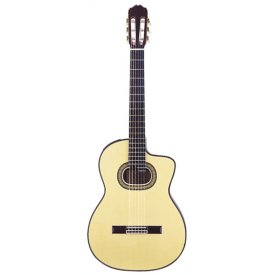 Takamine TH90