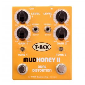 T-REX  Mudhoney II
