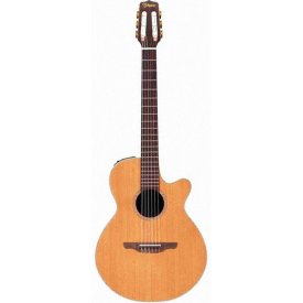 Takamine EAN-60C