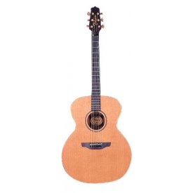 Takamine EAN 20