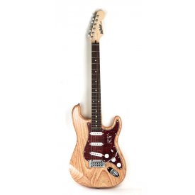 LeeHooker Stratocaster NUS