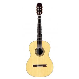 Takamine TH8SS