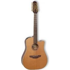 Takamine EAN-10C-12