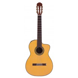 Takamine TH5C
