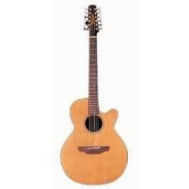 Takamine EAN40C-12