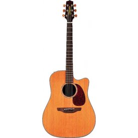 Takamine EAN-15C