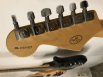 Fender Stratocaster Special Edition 2001, USA