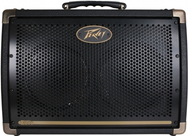 Peavey Ecoustic 208