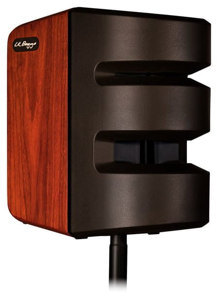 L.R.Baggs Synapse Personal PA System
