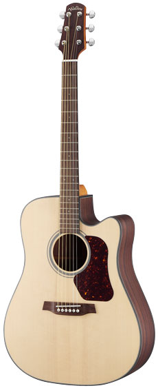 WALDEN guitars D560CE