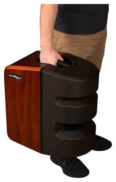 L.R.Baggs Synapse Personal PA System
