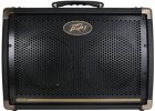 Peavey Ecoustic 208