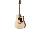 WALDEN guitars D560CE