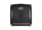 Peavey Ecoustic 20