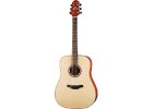 Crafter guitars Crafter HD-250