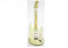 Nash guitars USA ST S57 VW