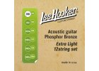 LeeHooker 12str. AC10/48