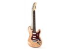 LeeHooker S-Caster NUS