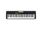 Casio CT S100