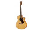 WALDEN guitars CG570CE