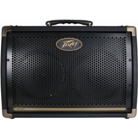 Peavey Ecoustic 208