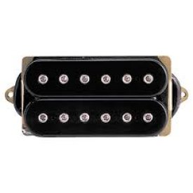 DiMarzio Dual Sound