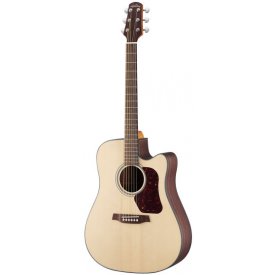 WALDEN guitars D560CE