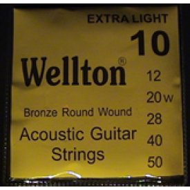 Wellton ACB-10
