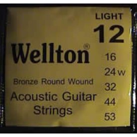 Wellton ACB-12