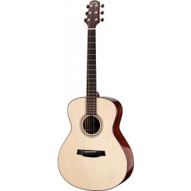 WALDEN guitars CG2010
