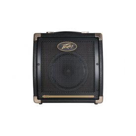 Peavey Ecoustic 20