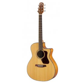 WALDEN guitars CG570CE