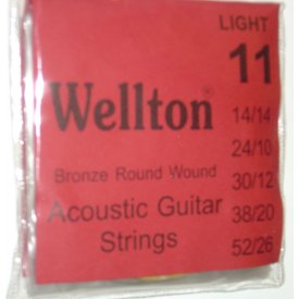 Wellton ACBT-11