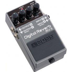 Boss RV-5