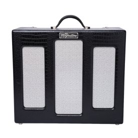 MAGNATONE Varsity Reverb Point to Point, Cathedral 1x12" Combo